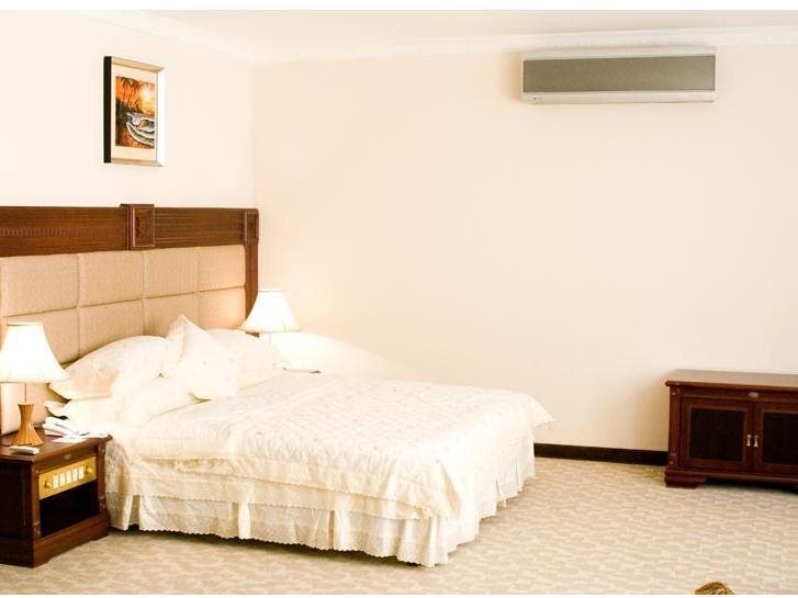 Анурадхапура: Hotel Dulyana
