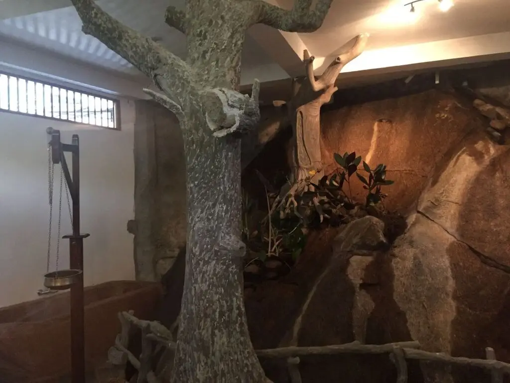 Палегама: Rainforest Lodge