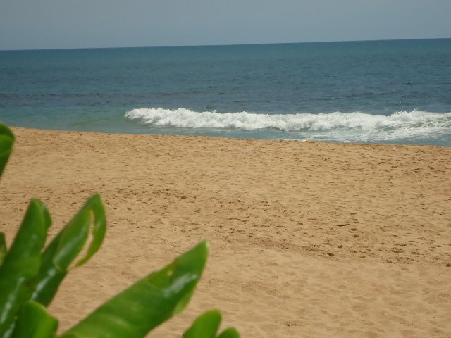 Тангалла: Natural Cabanas