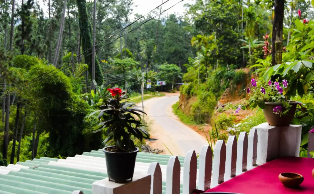 Элла: Rustle Hill Home Stay-Ella