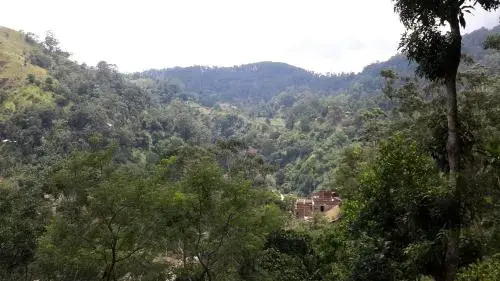 Элла: Raveena Guest House