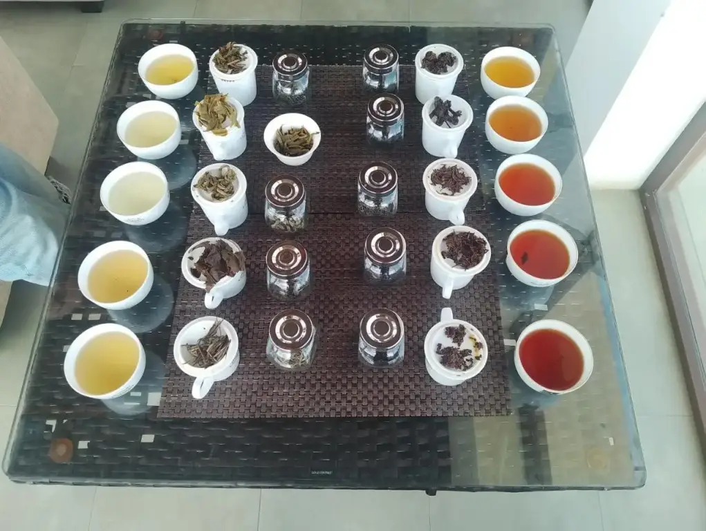 Денийяйя: Deniyaya Guest House