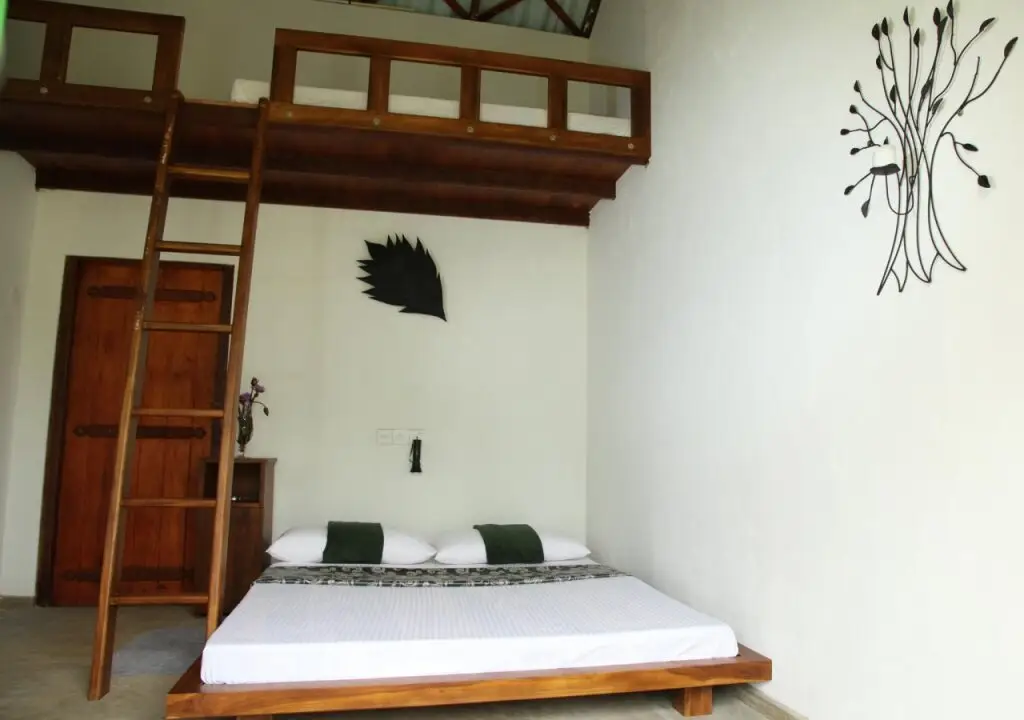 Поддана: Sinharaja Forest Edge