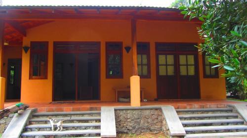 Хиккадува: Monkey House