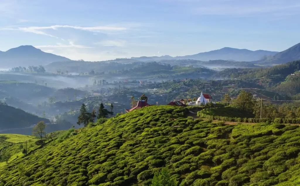 Нувара-Элия: Tea Garden Cottage