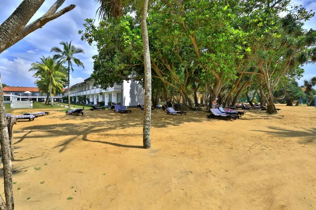 Ваддува: Hibiscus Beach Hotel And Villas