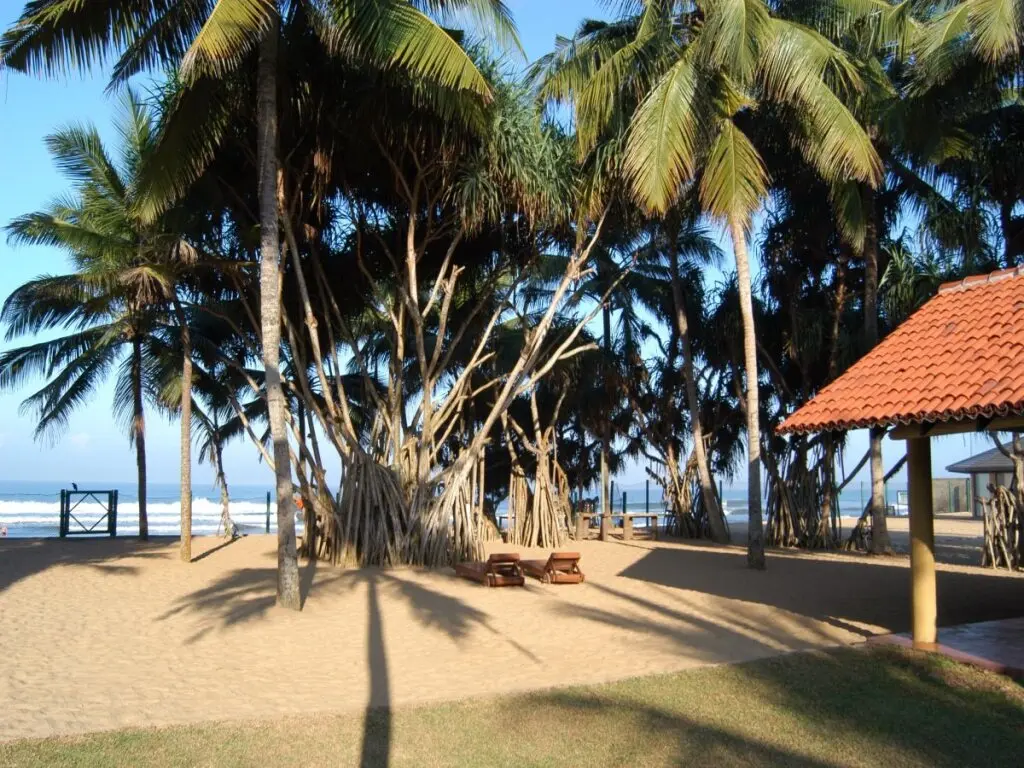 Ваддува: Hibiscus Beach Hotel And Villas