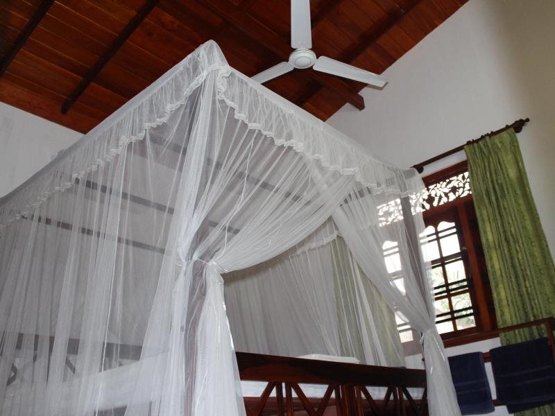 Хиккадува: Rohan Villa