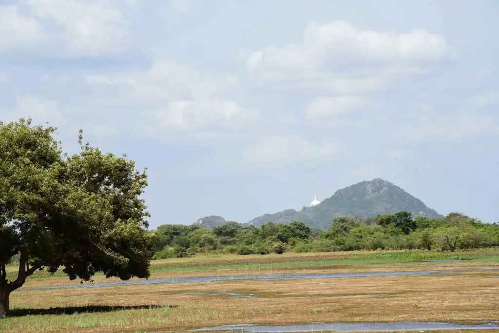 Indika Lake Resort — фото 1