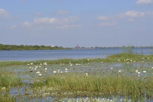Анурадхапура: Lake Leisure Resort