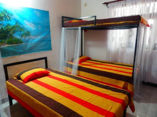 Негомбо: New Negombo Beach Hostel
