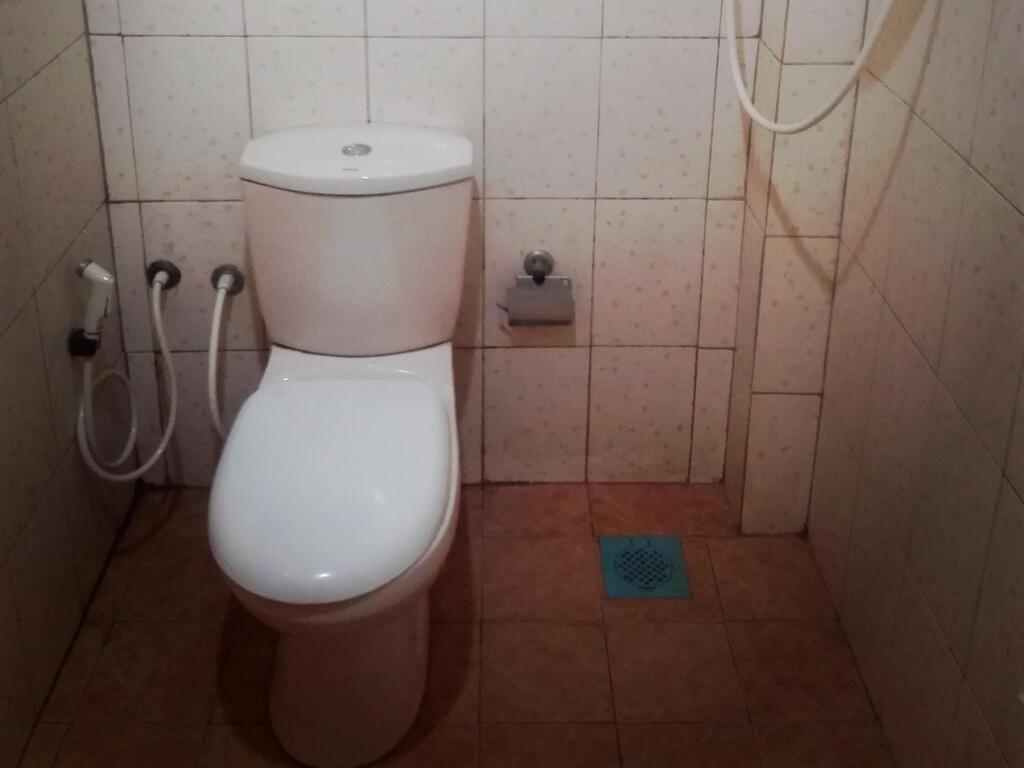 Дамбулла: Takeshi inn