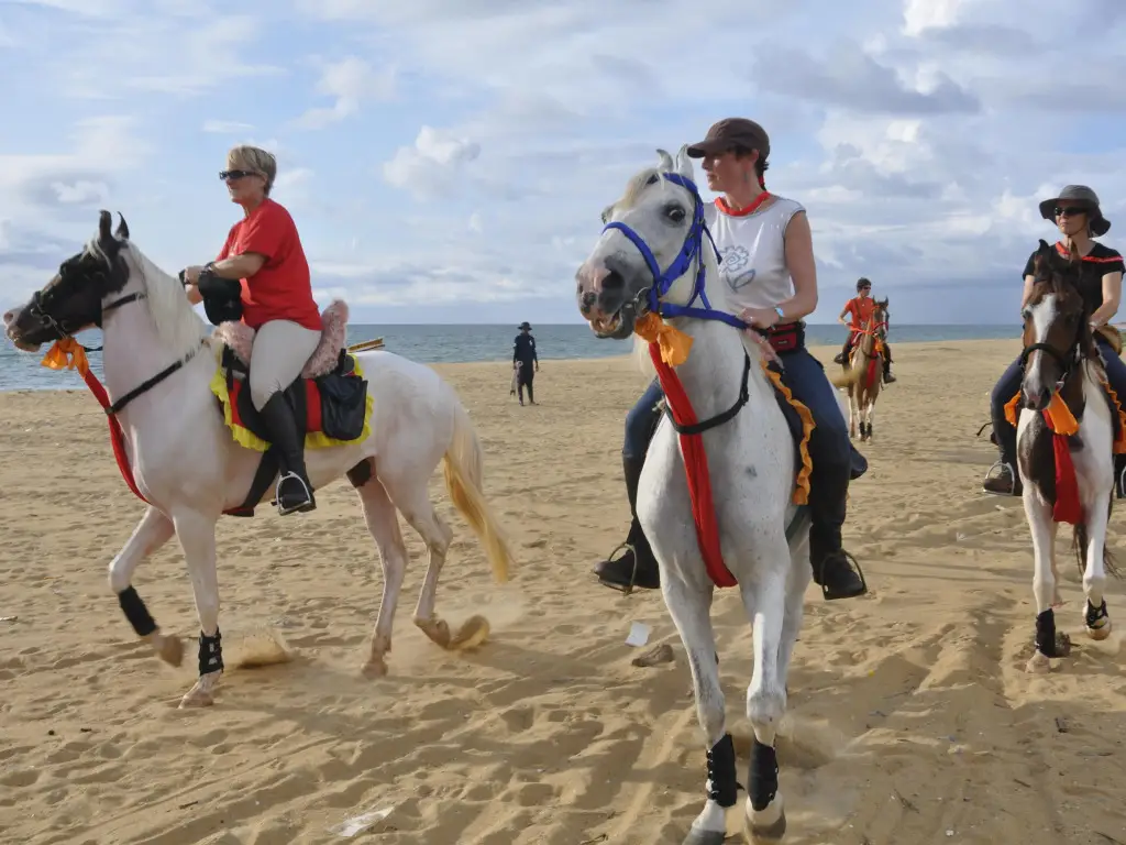 Кандакули: Five Trees Beach Resort Hotel