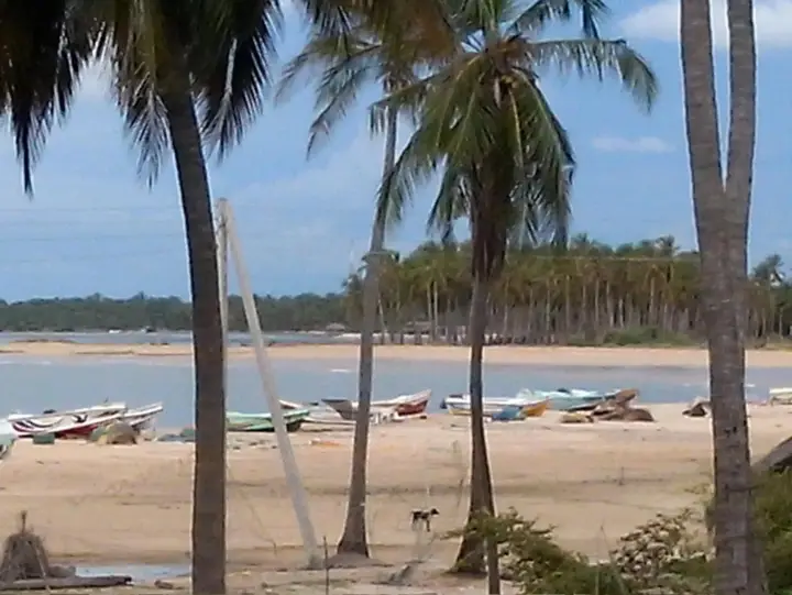 Кандакули: Five Trees Beach Resort Hotel