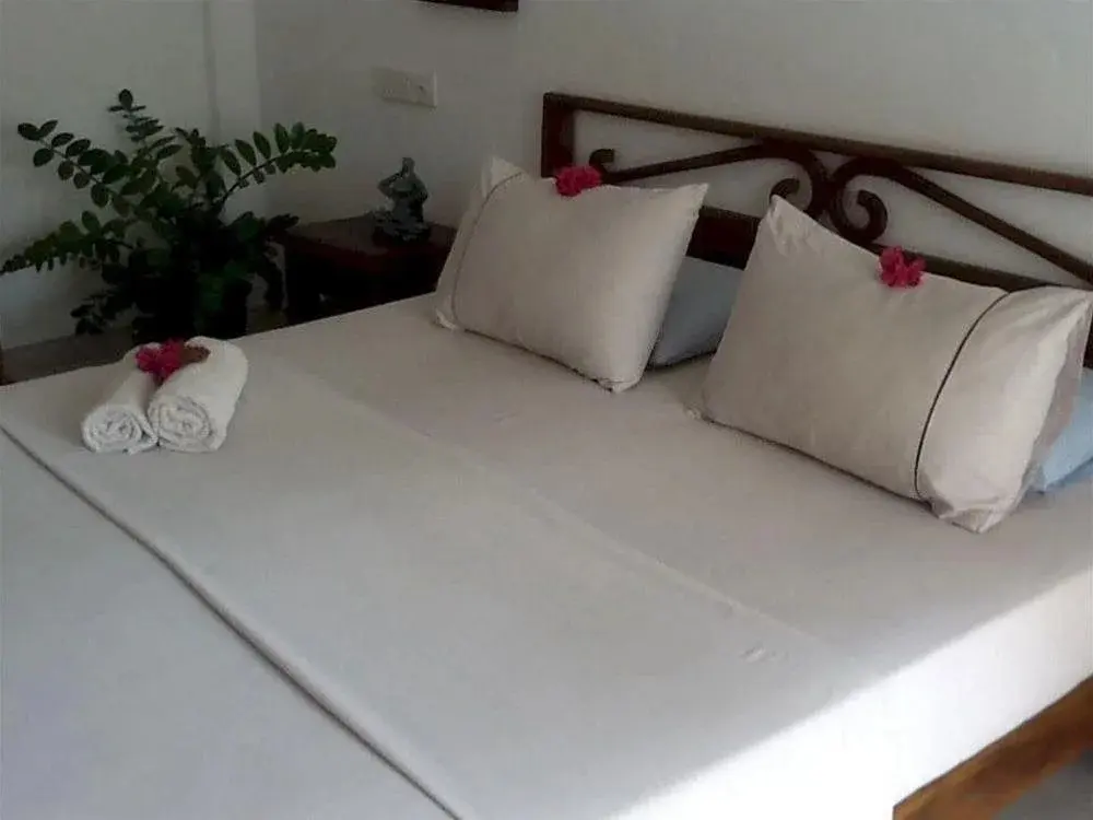 Негомбо: Serendib Village Guest House