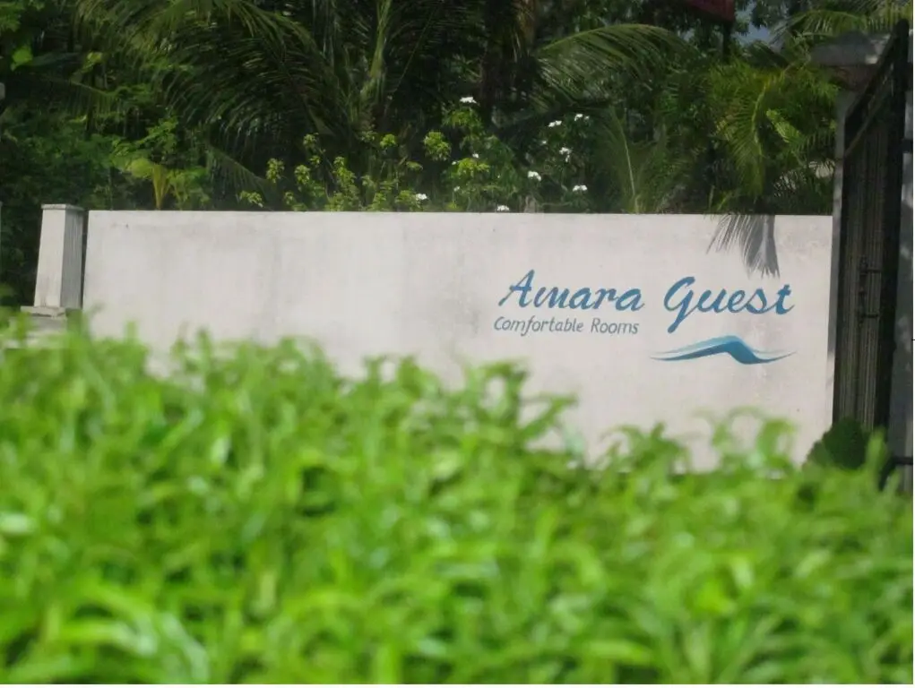 Amara Guest — фото 1