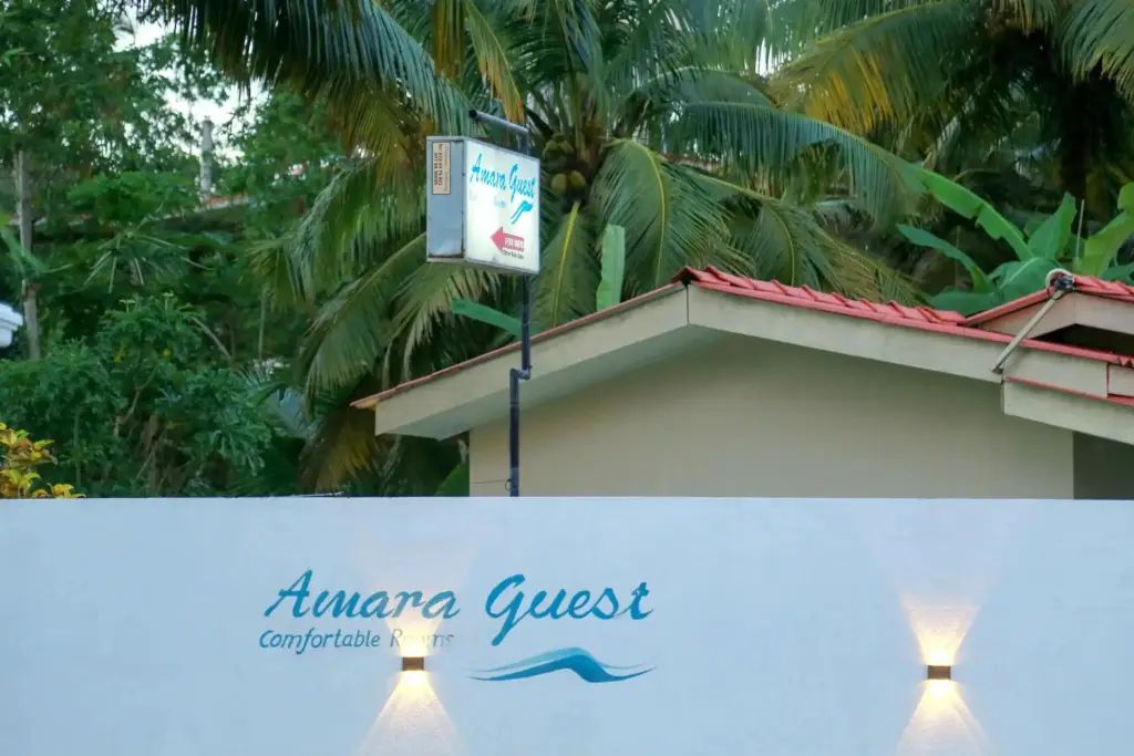 Мирисса: Amara Guest