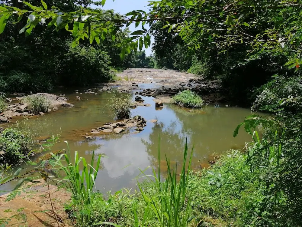 Удавалаве: Silent Bungalow River Side