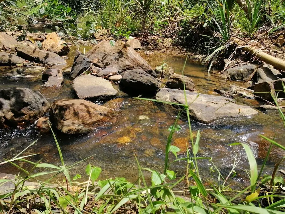 Удавалаве: Silent Bungalow River Side