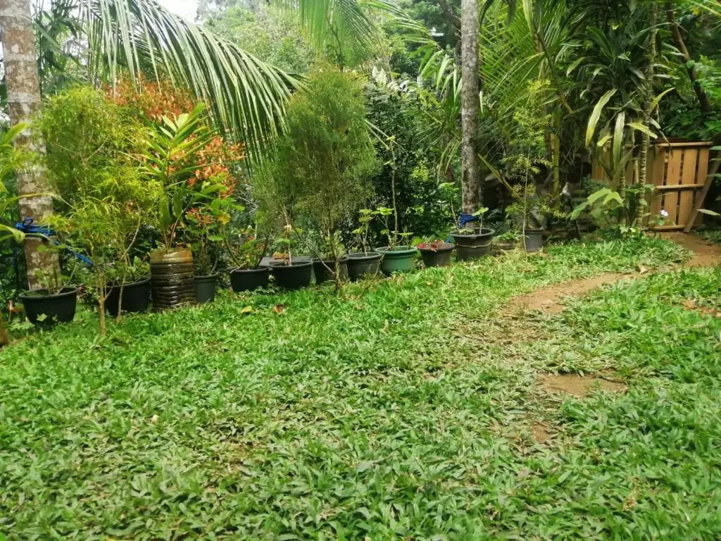 Элла: Ella Flower Garden Resort