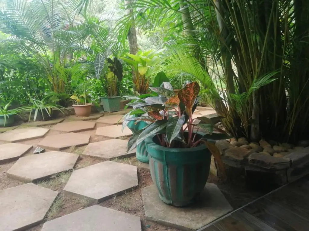 Элла: Ella Flower Garden Resort