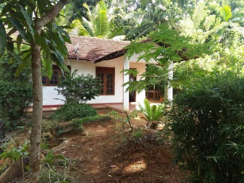 Курунегала: Pinnawala home stay