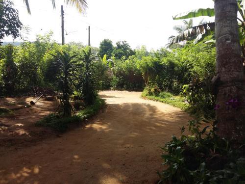 Курунегала: Pinnawala home stay
