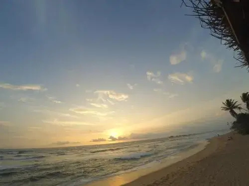 Хиккадува: Surfing Beach Guest House