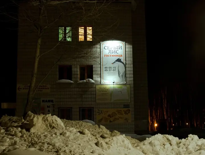 Томск: Отель Серый Лис