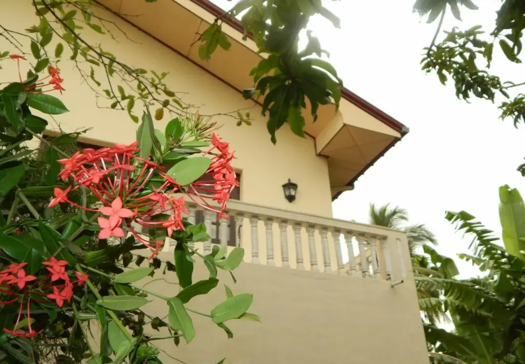 Хиккадува: Mallika Guest House