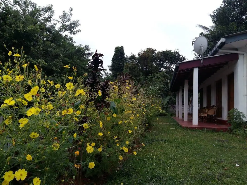 Канди: Treasure Villa