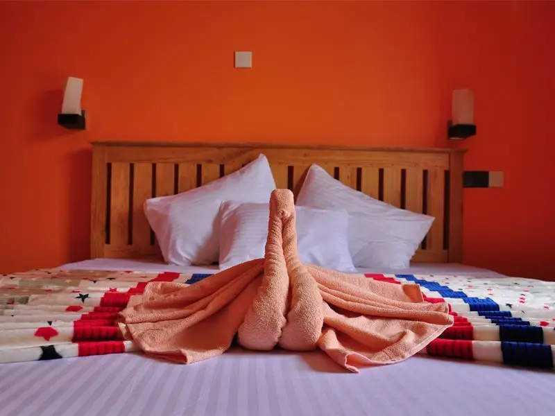 Элла: Chamelia Inn Ella