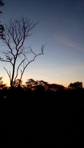 Сигирия: Gaja Resort Sigiriya