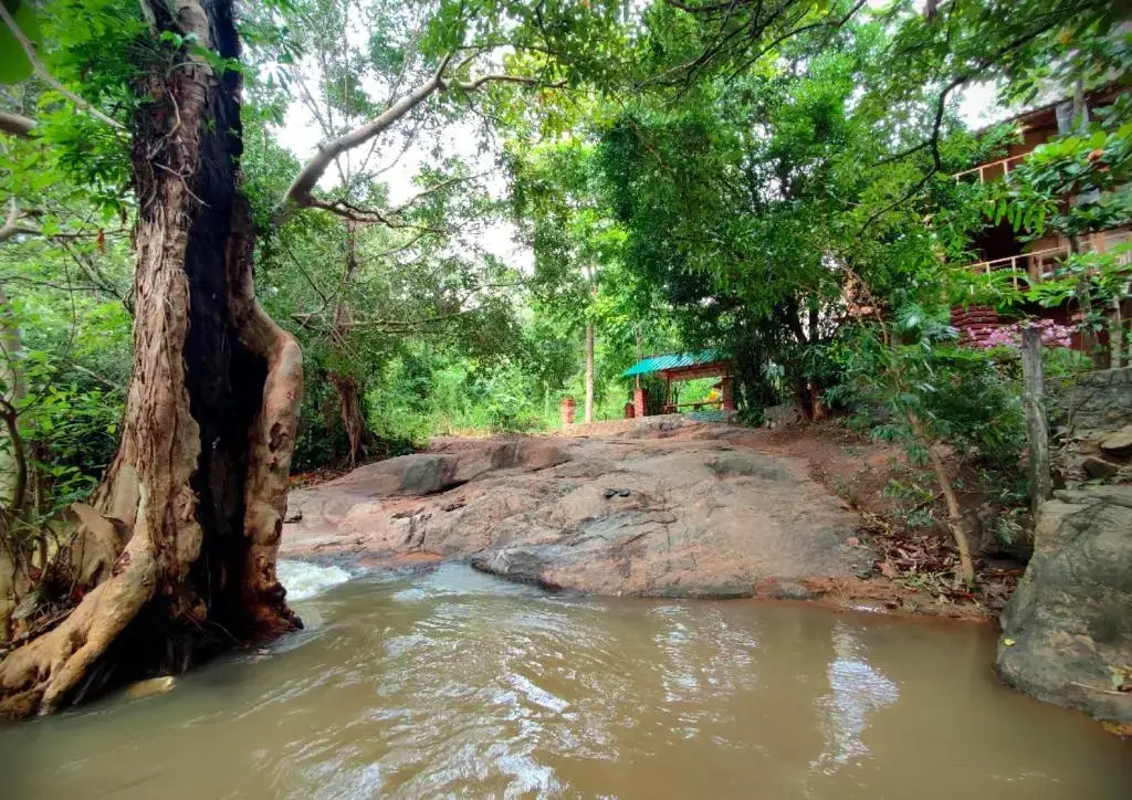 Сигирия: Hotel Sigiriya