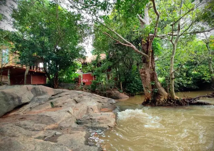 Сигирия: Hotel Sigiriya