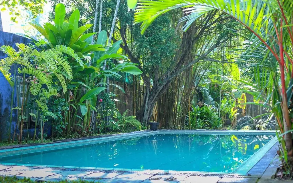 Келания: The Fern Cove Villa