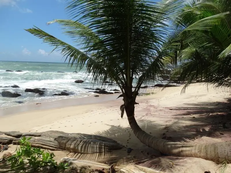 Тангалла: Around Sri Lanka Guesthouse Tangalle
