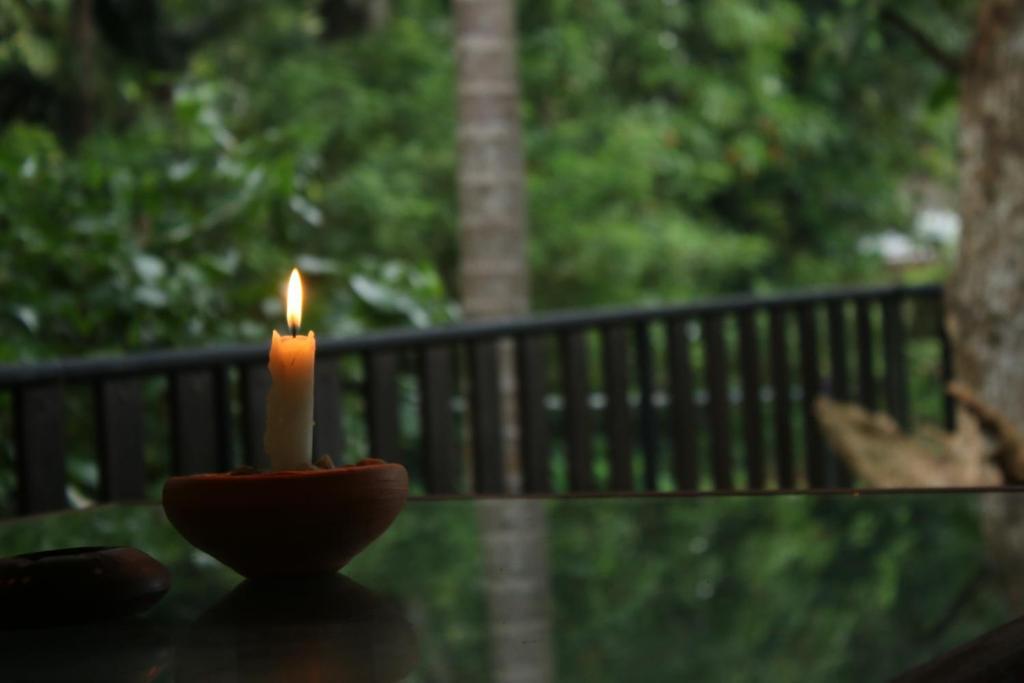 Хиккадува: Guruwaththa Eco Lodge