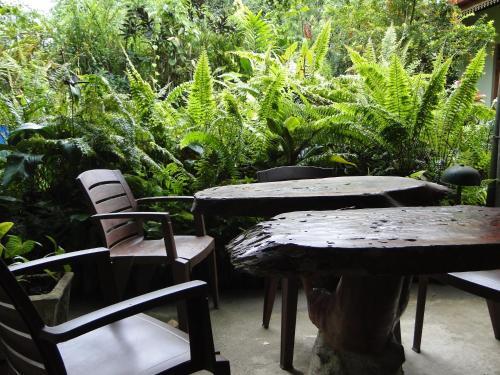 Денийяйя: Sinharaja Rest