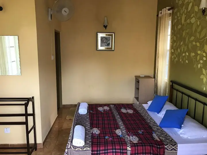 Канди: The Releaf