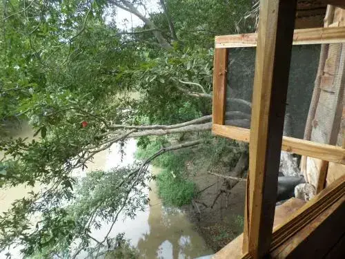 Киринда: Kumbuk Tree House