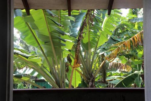 Матара: Sunil Rest Guest House