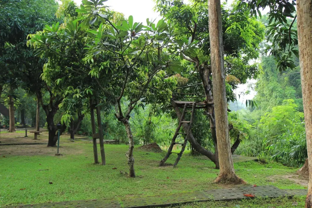 Мораголлева: Dambulu Oya Family Park