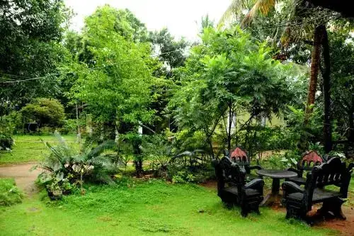 Сигирия: Sigiriya Green Garden Homestay