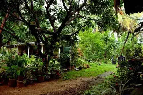 Сигирия: Sigiriya Green Garden Homestay