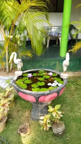 Сигирия: Sigiriya Green Garden Homestay