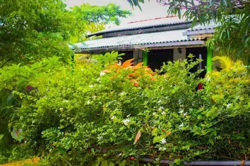 Сигирия: Sigiriya Green Garden Homestay