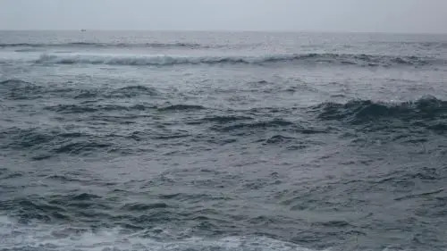 Катукурунда: Shehara Sun Surf Lodge