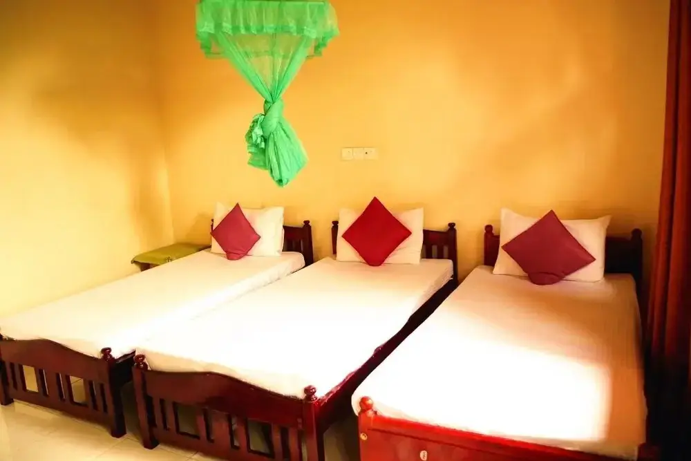Негомбо: Villa Eco Green Tours
