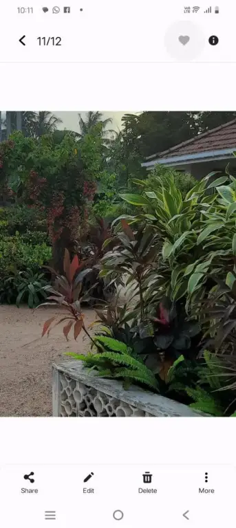 Негомбо: Srilal's Guest House